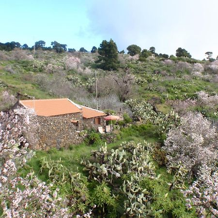 Casa Rural La Jarita エル・ピナール エクステリア 写真