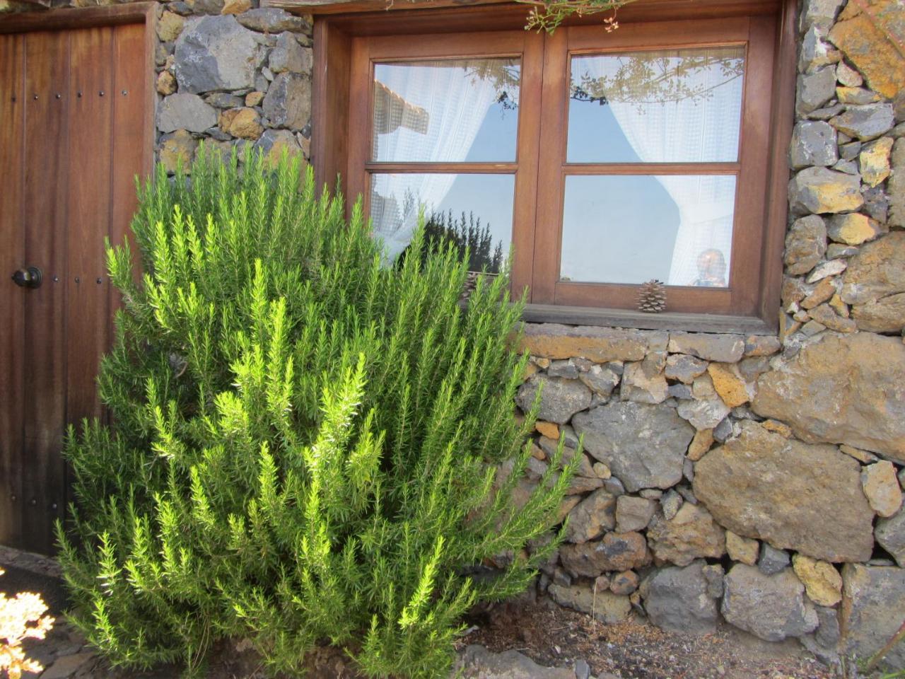 Casa Rural La Jarita エル・ピナール エクステリア 写真