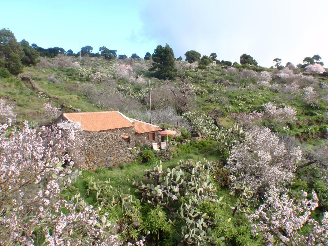 Casa Rural La Jarita エル・ピナール エクステリア 写真