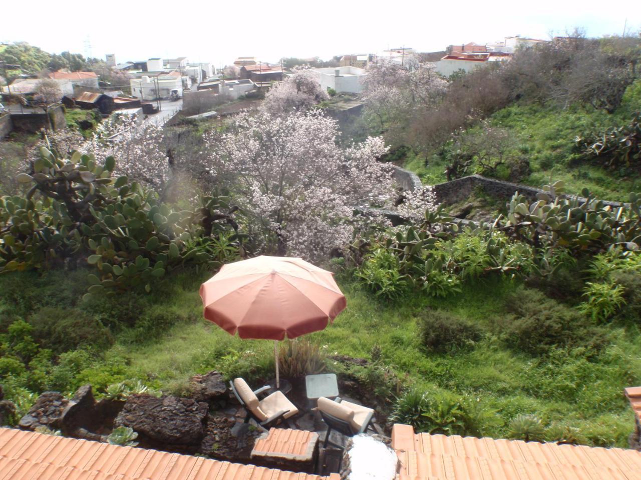Casa Rural La Jarita エル・ピナール エクステリア 写真